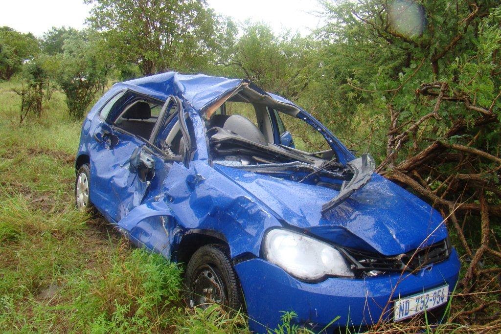 elephant attack car